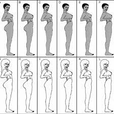 We did not find results for: The Stimuli Used In The Present Study Breast Size Small And Large Download Scientific Diagram