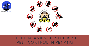 Let's take a look at each of these, shall we? The 9 Companies For The Best Pest Control In Penang 2021