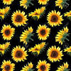 For this post, we've collected 12 beautiful sunflower wallpapers for you, just click on the wallpaper you choose, download tags: Https Encrypted Tbn0 Gstatic Com Images Q Tbn And9gcrjruggxmvm4xiampmu5sdnwsjwt85kwx9xyj93ebd6q8yhnwhi Usqp Cau