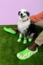 Crocs teamed up with Bark to make clogs for dogs - Fast Company
