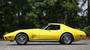 Image result for Yellow 1976 Fleet