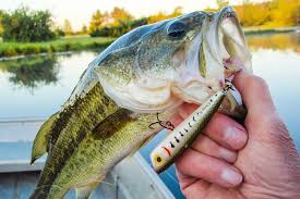Maybe you would like to learn more about one of these? Dawn Is A Darned Good Time For Bass Fishing Midwest Outdoors
