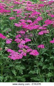 Pin On Inspiration For Sunny Planter Box