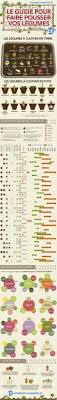 Comment Faire Pousser Ses Legumes Tous Les Secrets De Jardinier En 1 Seul Guide En 2020 Jardinage Potager Jardinage Jardin De Legumes