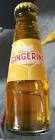 Gingerino Gusto Ami