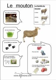 Activites Pour Preschoolers Sur Le Theme De La Ferme Recherche Google Science For Kids Preschool Learning Activities How To Speak French