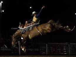 Lexi Christopher Photography