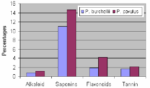 Image result for Phyllanthus parvulus