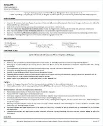 professional manager resume