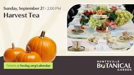 Harvest Tea