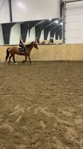 Dillon idag😍 Han var super⭐️ var veldig kjedelig time idag fikk neste...