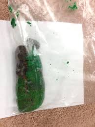 Find specific details on this topic and related topics from the merck vet consumption of the fruit, seed, stem, or leaves of avocados can cause toxicity in animals. Bromethalin Toxicity In Dogs Cats Vetgirl Vet Ce Blog