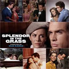 Stump Run film cast and crew in Marcola, Oregon