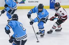 PHOTOS: Franklin vs. Wellesley boys hockey