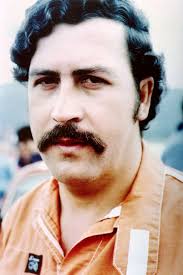 Pablo Escobar's 'cocaine hippos' pose huge threat and 'must be culled'