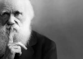 Imagine, the revolution.