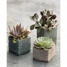 Floracraft Design It X Small Succulent Pot 1 Each Walmart Com In 2020 Flower Pots Succulents Garden Projects
