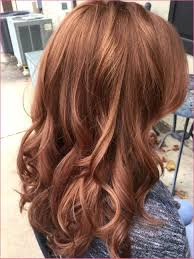 Discover a new haircolor on you, snap, save and then find a salon to make it reality! Mocha Hair Color With Highlights In 2020 Honey Brown Hair Dark Strawberry Blonde Hair Dark Blonde Hair Color