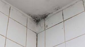 Schimmelbefall im badezimmer ist gesundheitsschädlich und oft ein fall für den fachmann. Badezimmer Putzen Tipps Gegen Schimmel Und Kalk