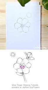 How To Draw A Sakura Cherry Blossom Step By Step For Beginners Jeyram Art In 2020 Flower Drawing Tutorials Flower Drawing Floral Drawing
