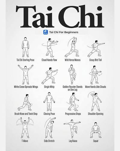 Tai Chi for Beginners | Tai Chi Workout 👉https://taichi.onelink.me/n4v6/xsrk1lw6  #taichiforbeginners #taichi #healthlifestyle #mobility #homeworkout |  Instagram