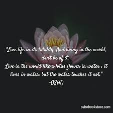 Best 100 osho quotes on life, love, happiness, words of encouragement that will inspire you extremely astonishing. Inspirational Osho Quotes On Life And Love Love Quotes Collection Within Hd Images