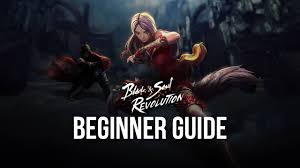 Doing story quest / side quest will give you rewards to upgrade your equipment (no point to horde for later) soul shields to focus (ss is your armor in this game and it also give set bonus) focus on getting the exp soul shield. Blade And Soul Revolution Beginners Guide With Important Tips To Level Up Fast Bluestacks