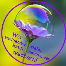 Sprüche Zitate Und Gedichte App Kostenlos Words 4ever Sprüche
