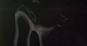 Check spelling or type a new query. Lyrics Translations Of Beautiful Boy By Jonsi Popnable