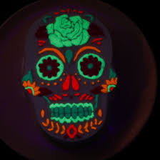 La Calavera Phosphorescente Recette Le Meilleur Patissier Mercotte La Cuisine De Mercotte