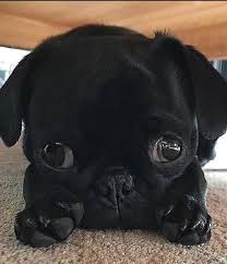 Rate this photograph from 1- 10