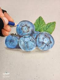 How to Draw Realistic Blueberries: A Mixed Media Tutorial 🫐