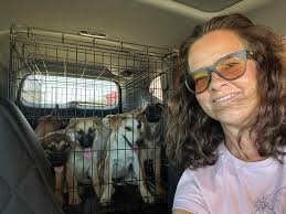 Coalgate animal shelter cares for stray dogs