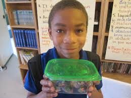 The Ape News: February 2013