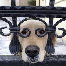 Fabiola Quintero (@Fabiolaq95)