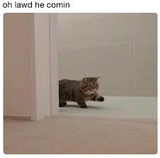 Chonk Oh Lawd He Comin Know Your Meme