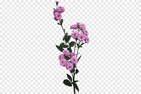 Suchen sie nach bild blumen png bildern oder vektoren? Schnittblumen Rosenblumenstrauss Pflanzenstangel Rosa Kunstblumen Mala Kunstliche Blume Kunstliche Blumen Png Pngegg