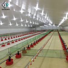 A type layer battery chicken cages has advantages of simple structure, convenient maintenance and operation, lower input costs and fast earnings. Modern Steel Farm Design Automated Prefab Poultry House 20000 Chickens China Prefab Poultry House Automated Poultry House Made In China Com