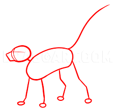 How To Draw Meerkats Step By Step Drawing Guide By Makangeni Dragoart Com Check out the rest of the flower doodles tutorials for bullet journals! how to draw meerkats step by step