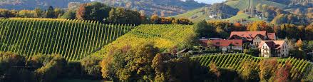 For the traditional region of slovenia, see category:styria (slovenia). Styria A Prime Austrian Wine Region For Growing Sauvignon Blanc Concours Mondial Sauvignon