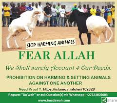 And also octopus have venom inside. The Great Sacrifice Udhiyah Imadawah