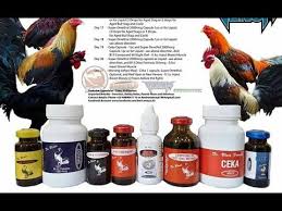 Dr Blues 21 Days Conditioning Methods For Stags And Cocks