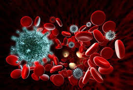 What are hiv & aids? What Are Hiv Aids Symptoms Treatment And Prevention