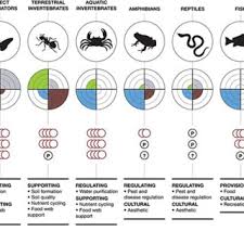 A standard pest control treatment covers most common insects inside of the home. Pdf An Update Of The Worldwide Integrated Assessment Wia On Systemic Insecticides Part 2 Impacts On Organisms And Ecosystems