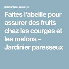 faites l abeille pour assurer des fruits chez les courges et les melons jardinier paresseux
