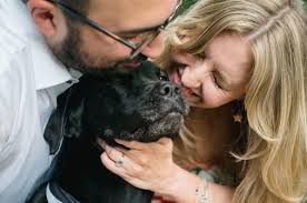 Erica Scully and Josh Minionis's Wedding Website