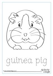 Kizicolor.com provides a large diversity of free printable coloring pages for kids, available in over 16 languages, coloring sheets, free colouring book, illustrations, printable pictures, clipart, black and white pictures, line art and drawings. Guinea Pig Finger Tracing