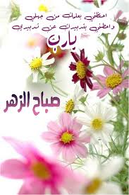 اللهم احفظني بعلمك من جهلي واحطني بتدبيرك عن تدبيري يارب صباح الخير صباح الورد صباح الزهر plants good morning
