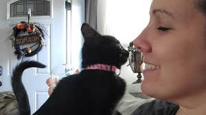 Fundraiser by Christa Riesett Amari : Kitty Queen Christa Needs Help With  Medical Bills