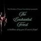 Shadow Cirque Foundation presents: The Enchanted Forest